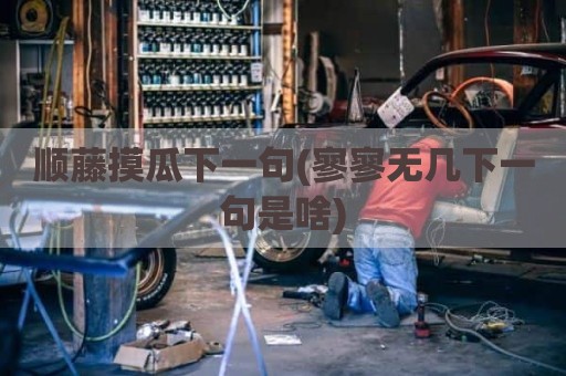顺藤摸瓜下一句(寥寥无几下一句是啥)