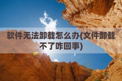 软件无法卸载怎么办(文件卸载不了咋回事)