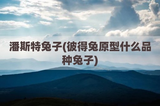 潘斯特兔子(彼得兔原型什么品种兔子)