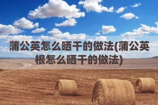 蒲公英怎么晒干的做法(蒲公英根怎么晒干的做法)