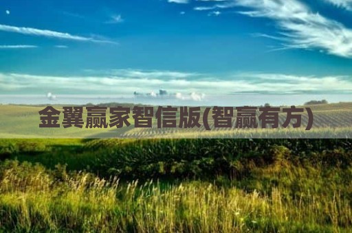 金翼赢家智信版(智赢有方)