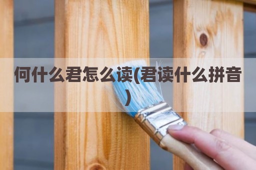 何什么君怎么读(君读什么拼音)