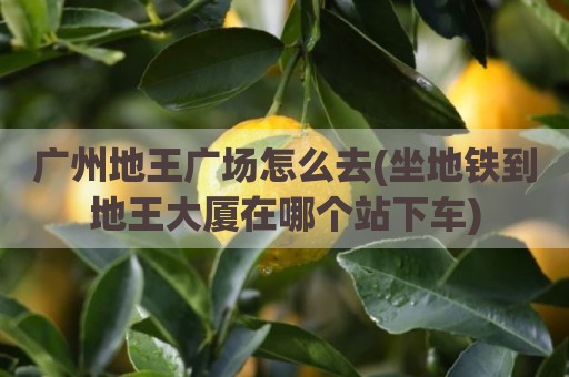 广州地王广场怎么去(坐地铁到地王大厦在哪个站下车)