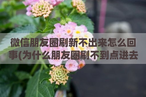 微信朋友圈刷新不出来怎么回事(为什么朋友圈刷不到点进去才能看到)