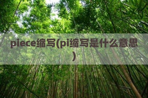 piece缩写(pi缩写是什么意思)