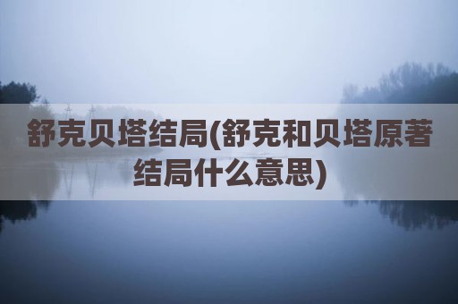 舒克贝塔结局(舒克和贝塔原著结局什么意思)