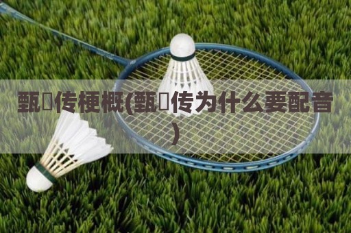 甄嬛传梗概(甄嬛传为什么要配音)