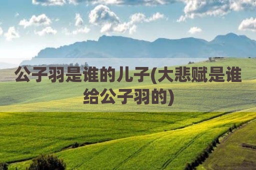 公子羽是谁的儿子(大悲赋是谁给公子羽的)