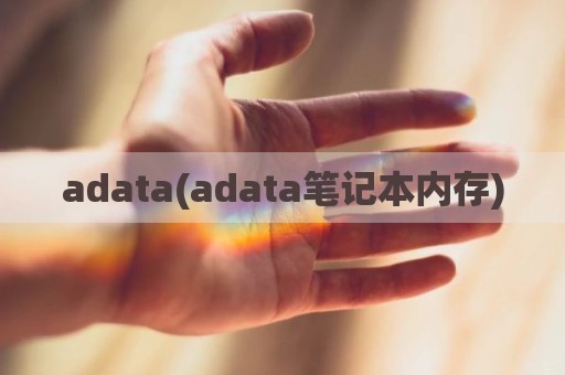 adata(adata笔记本内存)