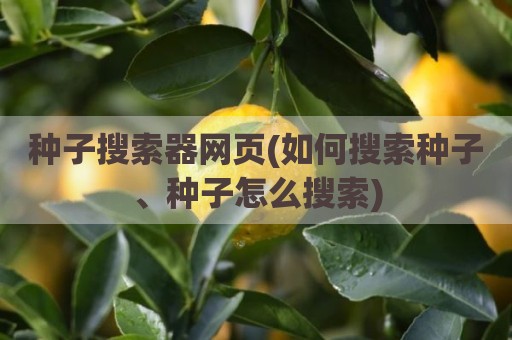 种子搜索器网页(如何搜索种子、种子怎么搜索)