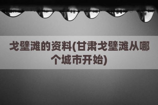戈壁滩的资料(甘肃戈壁滩从哪个城市开始)