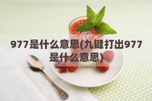 977是什么意思(九键打出977是什么意思)