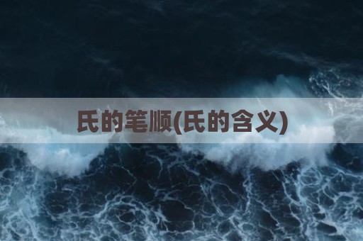 氏的笔顺(氏的含义)