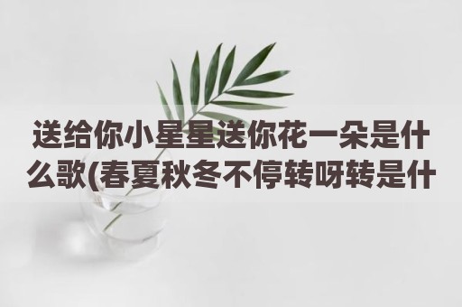 送给你小星星送你花一朵是什么歌(春夏秋冬不停转呀转是什么歌儿歌)