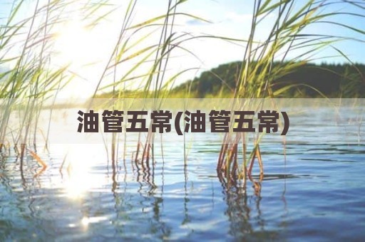 油管五常(油管五常)