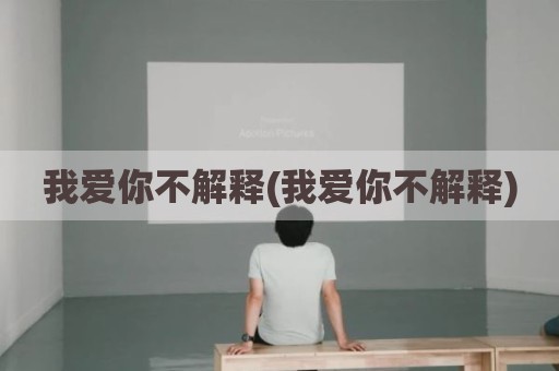 我爱你不解释(我爱你不解释)