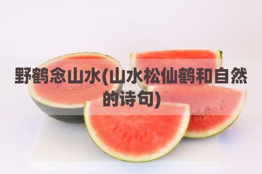 野鹤念山水(山水松仙鹤和自然的诗句)