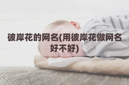 彼岸花的网名(用彼岸花做网名好不好)