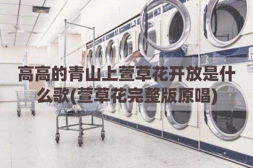 高高的青山上萱草花开放是什么歌(萱草花完整版原唱)