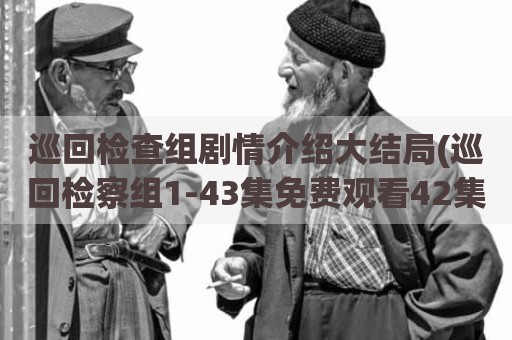 巡回检查组剧情介绍大结局(巡回检察组1-43集免费观看42集)