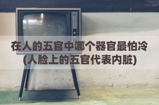 在人的五官中哪个器官最怕冷(人脸上的五官代表内脏)