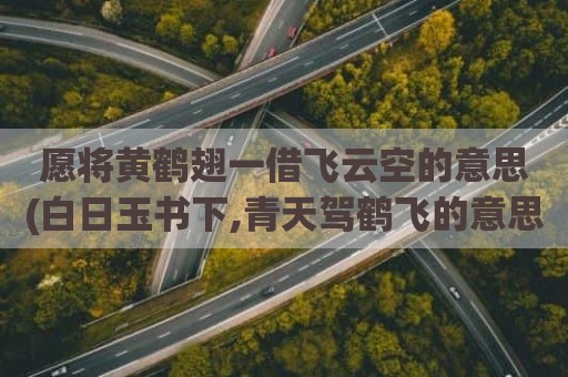愿将黄鹤翅一借飞云空的意思(白日玉书下,青天驾鹤飞的意思)