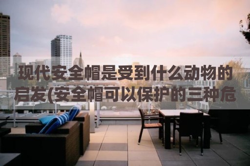 现代安全帽是受到什么动物的启发(安全帽可以保护的三种危险)
