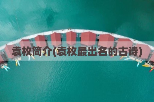 袁枚简介(袁枚最出名的古诗)