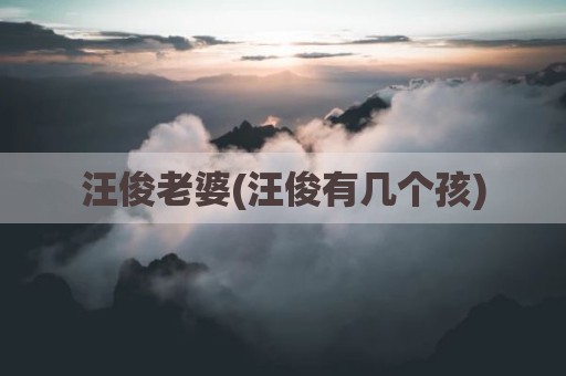 汪俊老婆(汪俊有几个孩)
