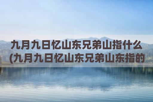 九月九日忆山东兄弟山指什么(九月九日忆山东兄弟山东指的是今天)