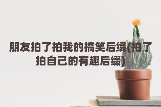 朋友拍了拍我的搞笑后缀(拍了拍自己的有趣后缀)