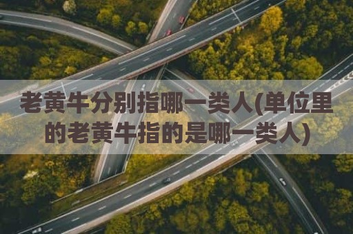 老黄牛分别指哪一类人(单位里的老黄牛指的是哪一类人)