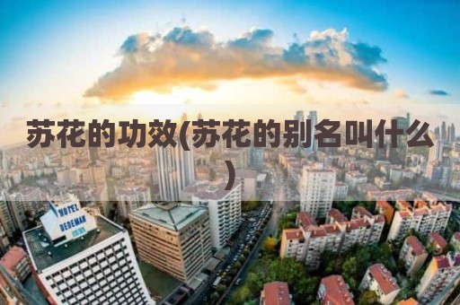 苏花的功效(苏花的别名叫什么)