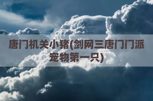 唐门机关小猪(剑网三唐门门派宠物第一只)