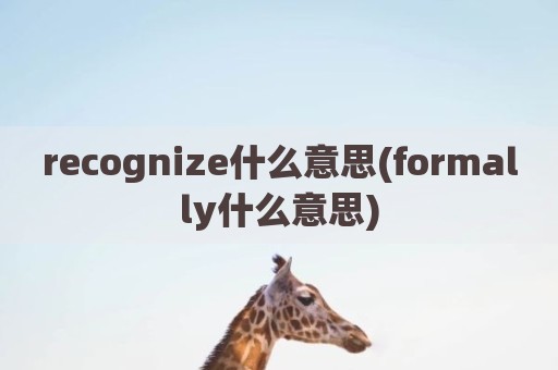 recognize什么意思(formally什么意思)