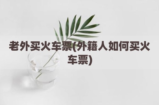 老外买火车票(外籍人如何买火车票)