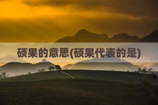 硕果的意思(硕果代表的是)