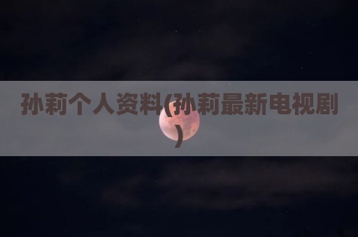 孙莉个人资料(孙莉最新电视剧)