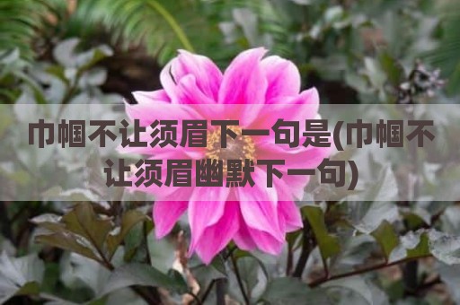 巾帼不让须眉下一句是(巾帼不让须眉幽默下一句)