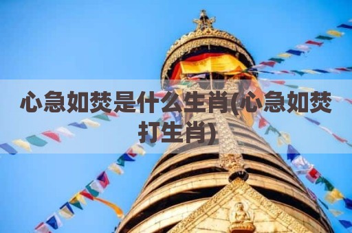 心急如焚是什么生肖(心急如焚打生肖)