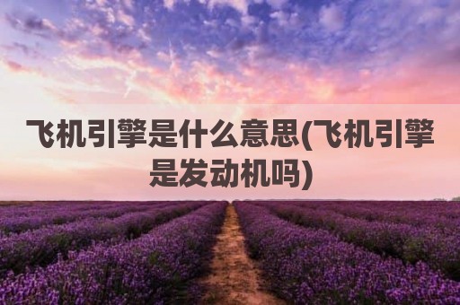 飞机引擎是什么意思(飞机引擎是发动机吗)