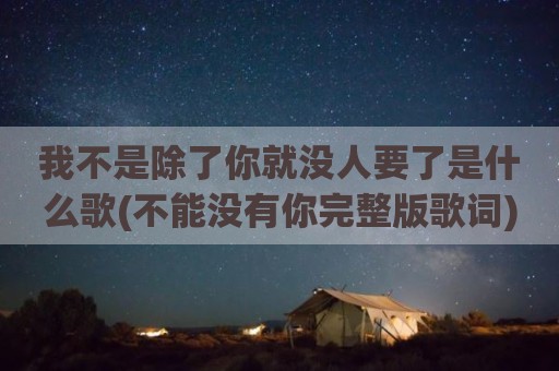 我不是除了你就没人要了是什么歌(不能没有你完整版歌词)