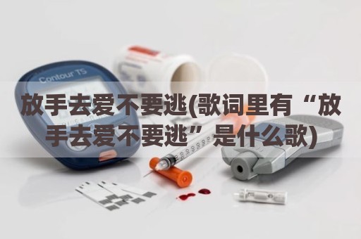 放手去爱不要逃(歌词里有“放手去爱不要逃”是什么歌)