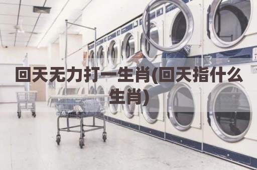 回天无力打一生肖(回天指什么生肖)