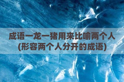 成语一龙一猪用来比喻两个人(形容两个人分开的成语)