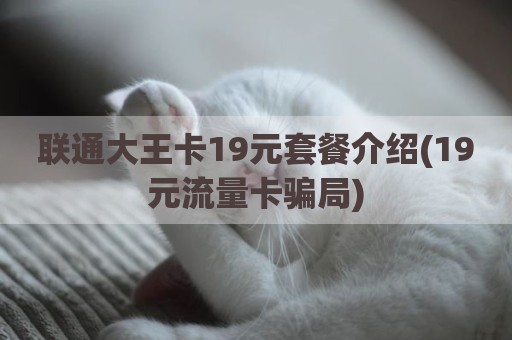 联通大王卡19元套餐介绍(19元流量卡骗局)