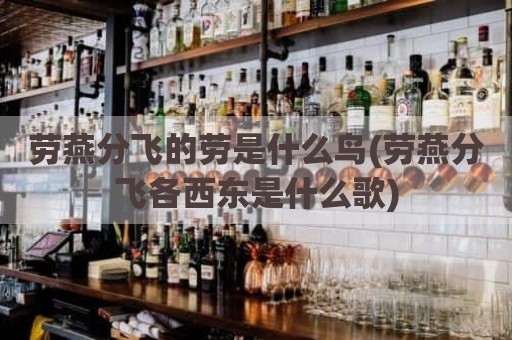 劳燕分飞的劳是什么鸟(劳燕分飞各西东是什么歌)