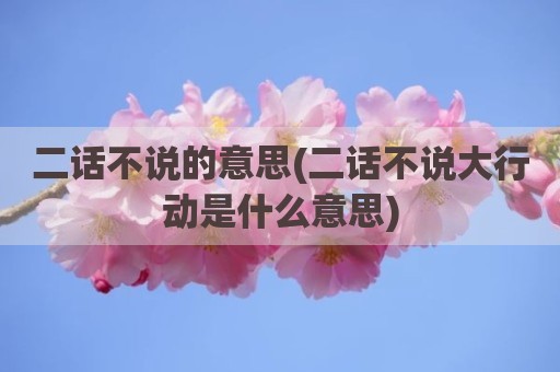 二话不说的意思(二话不说大行动是什么意思)