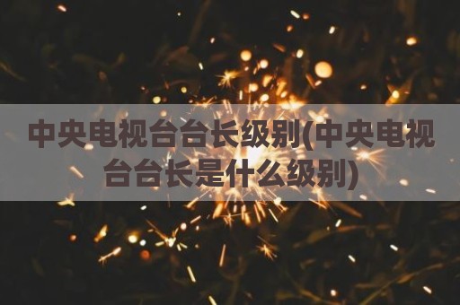 中央电视台台长级别(中央电视台台长是什么级别)