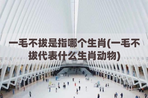 一毛不拔是指哪个生肖(一毛不拔代表什么生肖动物)
